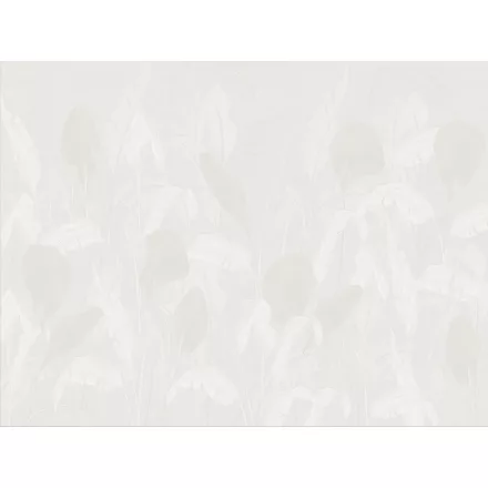 RIMURA / Main Collection