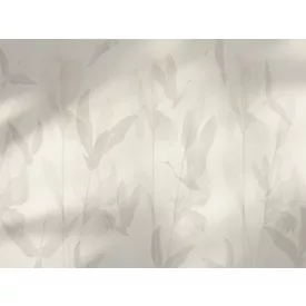 RIMURA / Main Collection