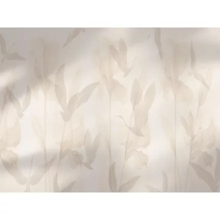 RIMURA / Main Collection