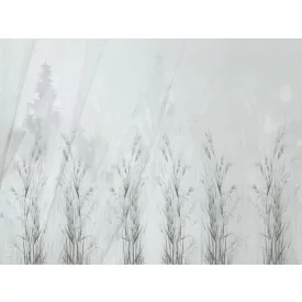 RIMURA / Main Collection