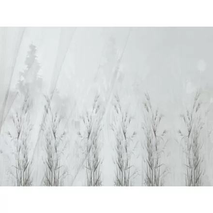 RIMURA / Main Collection