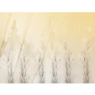 RIMURA / Main Collection