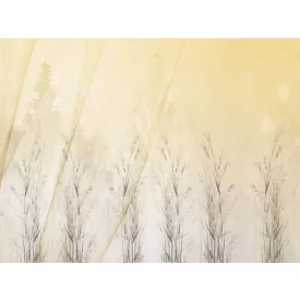 RIMURA / Main Collection