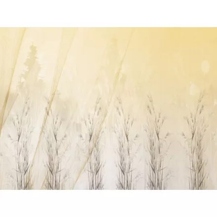 RIMURA / Main Collection