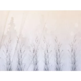 RIMURA / Main Collection