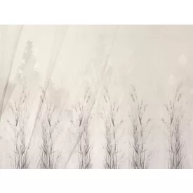 RIMURA / Main Collection