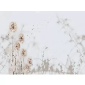 RIMURA / Main Collection