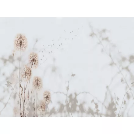 RIMURA / Main Collection