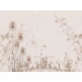 RIMURA / Main Collection