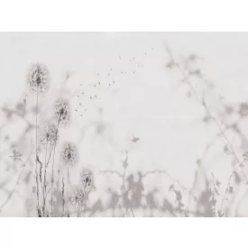 RIMURA / Main Collection