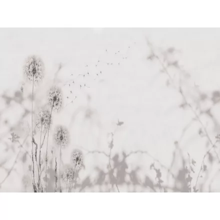 RIMURA / Main Collection