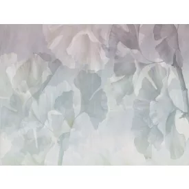 RIMURA / Main Collection