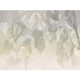 RIMURA / Main Collection