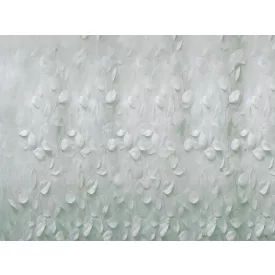 RIMURA / Main Collection