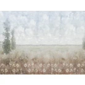 RIMURA / Main Collection