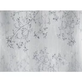 RIMURA / Main Collection