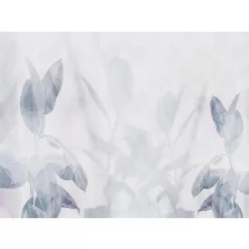 RIMURA / Main Collection