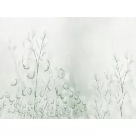 RIMURA / Main Collection