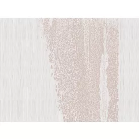 RIMURA / Main Collection