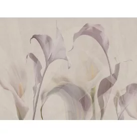 RIMURA / Main Collection