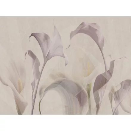 RIMURA / Main Collection