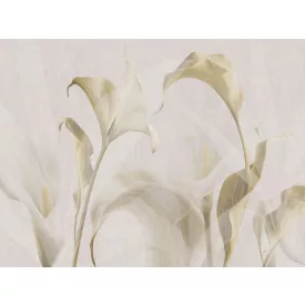 RIMURA / Main Collection