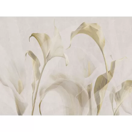 RIMURA / Main Collection