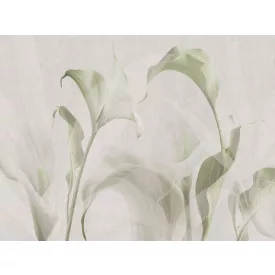 RIMURA / Main Collection