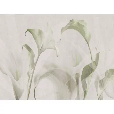 RIMURA / Main Collection