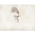 RIMURA / Main Collection