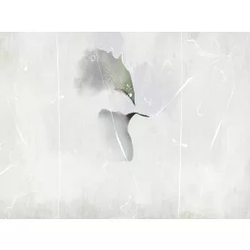 RIMURA / Main Collection