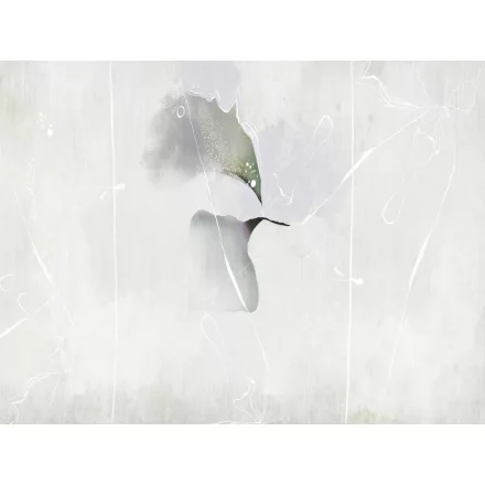 RIMURA / Main Collection