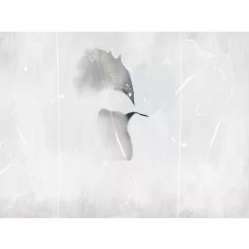 RIMURA / Main Collection