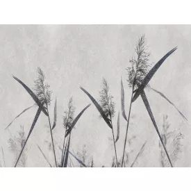 RIMURA / Main Collection