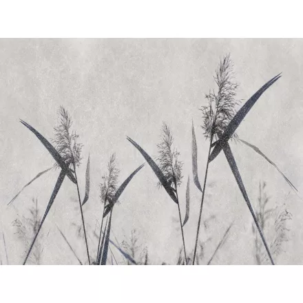 RIMURA / Main Collection