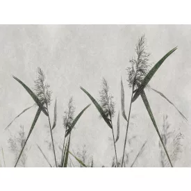 RIMURA / Main Collection