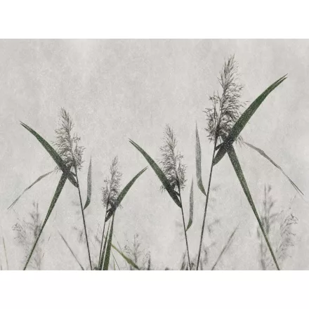 RIMURA / Main Collection