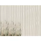 RIMURA / Main Collection