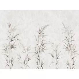 RIMURA / Main Collection