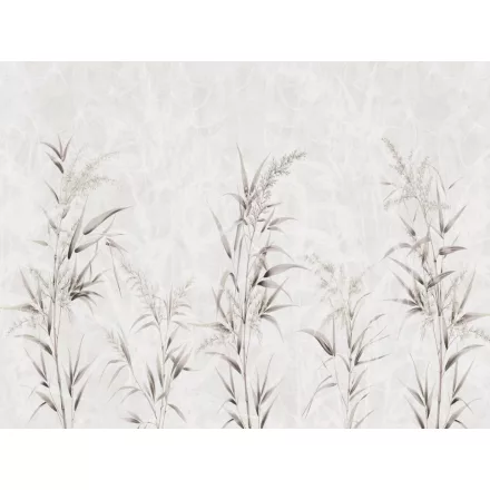 RIMURA / Main Collection