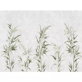 RIMURA / Main Collection