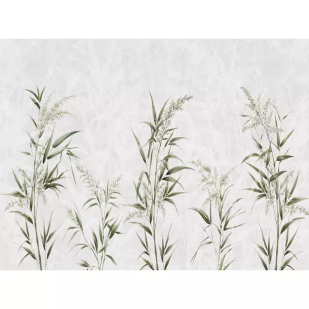 RIMURA / Main Collection