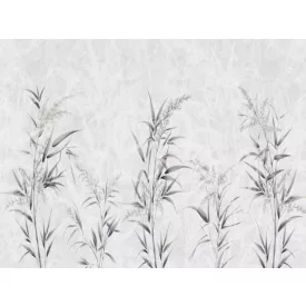 RIMURA / Main Collection