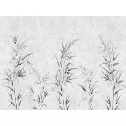 RIMURA / Main Collection