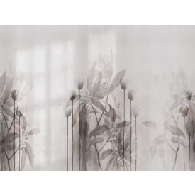 RIMURA / Main Collection