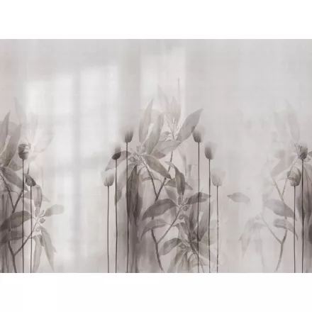 RIMURA / Main Collection