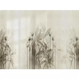 RIMURA / Main Collection