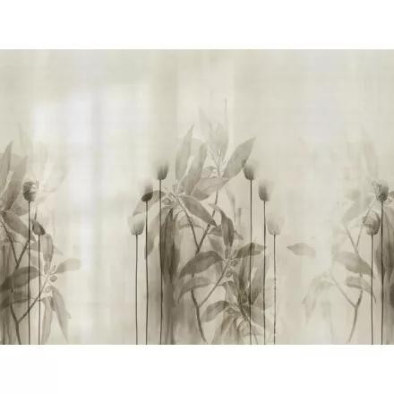 RIMURA / Main Collection