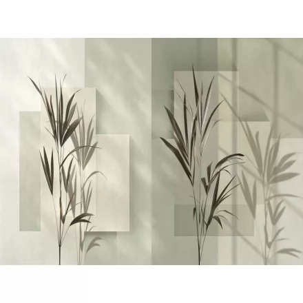 RIMURA / Main Collection