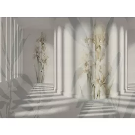 RIMURA / Main Collection